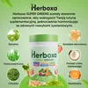 Herboxa SUPER GREENS - Poudre détoxifiante « Les alliés Voir les images du produit 9