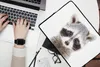 MuchoWow® Laptop Hülle 14 ZollWaschbär - Tiere - Natur - Produktbild-Vorschau 2