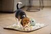 Beeztees Puppy Doeka Schnüffelmatte - Hund Spielzeug - grau Produktbild-Vorschau 5