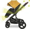 Lorelli Boston Kinderwagen 2-in-1 – Babywanne & Sportsitz, Produktbild-Vorschau 15
