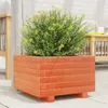 vidaXL Pflanzkübel Wachsbraun 40x40x26,5 cm Massivholz Produktbild-Vorschau 2