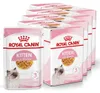Royal Canin FHN Kitten Instinctive 48 x 85 g Nassfutter in Produktbild-Vorschau 1