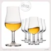 IMPERIAL Nosing Glas 6er Set – Tasting Glas für Whisky & Produktbild-Vorschau 6