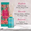 Tesori d'Oriente Geurstaafjes Ayurveda | Amla & Patchouli | Productafbeelding-voorbeeld 5