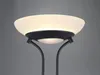 Lampa stojąca LED ORSON czarny RL R40073532 Podgląd zdjęcia produktu 13