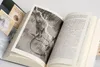 Feuer und Blut - Erstes Buch Produktbild-Vorschau 10