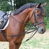 Kerbl Dreieckszügel schwarz, Größe Pferd:Full Produktbild-Vorschau 4
