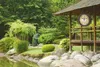 A clock mounted on a wooden gazebo in a garden setting. Anteprima dell’immagine prodotto