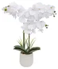 Atmosphera Kunstliche Pflanze Orchidee - weise Bluten - im Produktbild-Vorschau 1