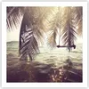 Poster - Poster ohne Rahmen - Meer Palme Wasser - 60x60 cm Produktbild-Vorschau 1