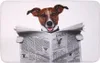 SANILO® Badteppich Newspaper 70 x 110 cm Produktbild-Vorschau 1