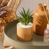 Kunstpflanze "sao" braun h17cm  - Atmosphera créateur Produktbild-Vorschau 4