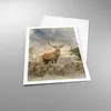 Poster - Poster ohne Rahmen - rotwild natur - 61x91,5 cm - Produktbild-Vorschau 3