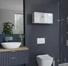 PLATAN ROOM szafka łazienkowa szafka wisząca 60 x 30 x 25 Podgląd zdjęcia produktu 2