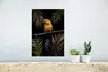 MuchoWow® Poster Farn - Papagei - Pflanzen 20x30 cm - Produktbild-Vorschau 5
