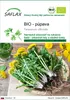 SAFLAX - BIO - púpava - Taraxacum officinale - 400 Semená Náhľad obrázku produktu 1