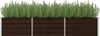 A raised garden bed filled with green plants. Náhľad obrázku produktu
