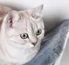 PawHut Katzenliege Katzen Wandliege Katzenbett Katzenregal Produktbild-Vorschau 8