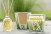 Dyfuzor ARÔME 50 ml Citronella Podgląd zdjęcia produktu 2