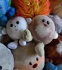 Celestial Buddies Pluto und Charon Produktbild-Vorschau 6