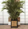 Casa Padrino Luxus Blumentopf Naturfarben / Schwarz H. 80 Produktbild-Vorschau 5