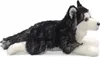 A plush toy husky dog lying down on a white background. Náhled obrázku produktu