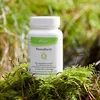 Pascoflorin®, 60 St KMR Náhled obrázku produktu 4
