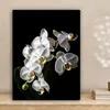 MuchoWow® - Leinwandbilder - Orchidee - Blumen - Weiß - Produktbild-Vorschau 2