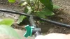 Bradas DSWWM50-SET1, 50 m Produktbild-Vorschau 7