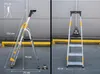 Two views of a step ladder, one side view and one front view, with dimensions and weight capacity indicated. Anteprima dell’immagine prodotto