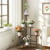 A multi-tiered plant stand filled with various potted plants and flowers, placed near a window with sheer curtains and next to a sofa. A framed picture of a flower hangs on the wall. Náhľad obrázku produktu