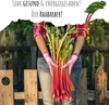 Roter Rhabarber Samen (Rheum rhabarbarum) - Nährstoffreiche Produktbild-Vorschau 3