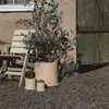 A large planter with a plant in it, next to a wooden chair and a green wooden door. Produktbild-Vorschau