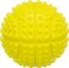 Sportball Hundespielzeug ø 5,5 cm lime Náhľad obrázku produktu 2