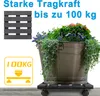 LZQ 2 Stück WPC Pflanzenroller 30x30 cm 100 kg Tragkraft, Produktbild-Vorschau 5