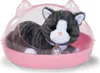 Zapf Creation BABY born My cat Cookie z pudełkiem Podgląd zdjęcia produktu 5