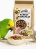 Colazione calda per pappagalli ai frutti di bosco | Piatto Anteprima dell’immagine prodotto 4