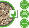 A close-up of chicken feed with marketing badges indicating 'Gentechnik-frei', 'Ohne künstliche Zusatzstoffe', and 'Ohne Soja'. Produktbild-Vorschau