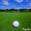 Pro Turf & Lawn Nawóz – o kontrolowanym uwalnianiu (20 kg – Podgląd zdjęcia produktu 6