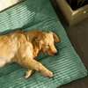 A golden retriever dog is sleeping on a light green dog bed. Produktbild-Vorschau