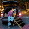 YARDIN 2 in 1 Hundetreppe Hunderampe Auto Klappbar für Produktbild-Vorschau 7