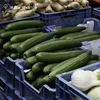 A close-up view of crates filled with fresh produce, including cucumbers and fennel, at a market. Produktbild-Vorschau
