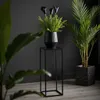 FRAMADO, Pflanzenständer Ferro, Metallregal, Blumenständer, Produktbild-Vorschau 4