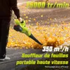DEWINNER Souffleur de Feuilles sans Fil, 2 Batteries 4.0Ah, Voir les images du produit 6