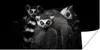 MuchoWow® Poster Tiere - Lemur - Schwarz - Weiß - Porträt Produktbild-Vorschau 1