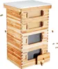 Bienenstock, 40 Rahmen, Zander Beute, mit Bienenwachs Produktbild-Vorschau 1