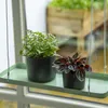 Esschert Design PY121, 380 mm, 150 mm, 21 mm, 1 Stück(e) Produktbild-Vorschau 7