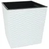 Quadratkübel Juka 30x30 Rattan weiss Produktbild-Vorschau 1