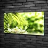Tulup® Glas-Bild - 100x50 -Wandkunst - Wandbild hinter Produktbild-Vorschau 2