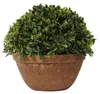 Sztuczna Roślina Bukszpan w Ceramicznej Doniczce 20 cm Podgląd zdjęcia produktu 3